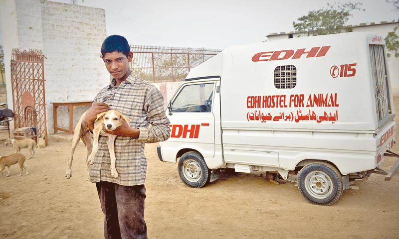 Edhi Animal Adotion Centre: A Sanctuary of Compassion for Pakistan’s Voiceless