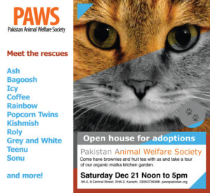 Pakistan Animal Welfare Society (