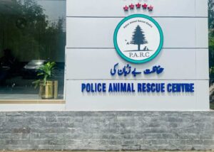 Animal Rescue Organizations in Pakistan