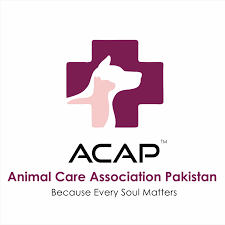 Animal Care Association Pakistan