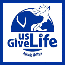 "Give Us Life Animal Welfare" in Pakistan