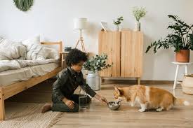Prepare Your Home for a Rescue Animal