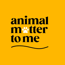 Animals Matter to Me (AMTM): A Compassionate Haven for Animals in Karachi