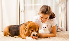 Basic Pet Care Tips