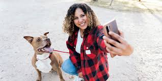 What to Do If You Find a Stray Animal