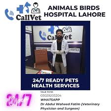 Callvet Animal Hospital
