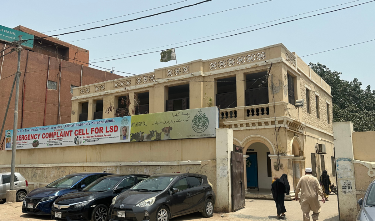 Karachi Animal Adoption Hospital: A Guide to Top Veterinary Care in the City